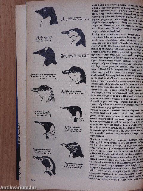 Búvár 1969-1970. január-december