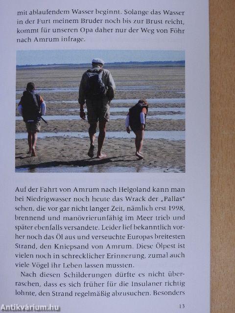 Der kleine Mohr