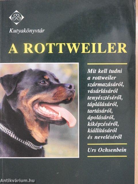 A rottweiler