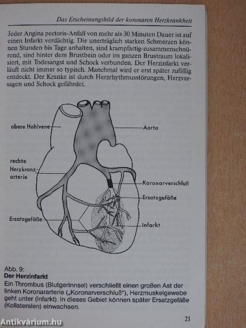 Mein Herz