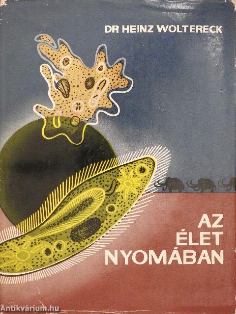 Az élet nyomában