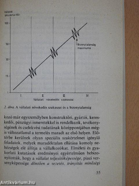 A kis- és középvállalatok és a gazdasági fejlődés