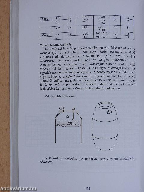 Horgászvizek üzemeltetésének gyakorlata