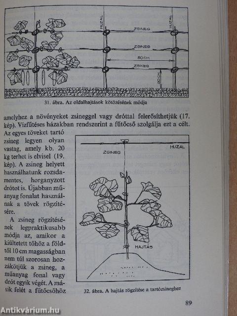 Uborkatermesztés