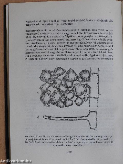 Bevezetés a növényélettanba