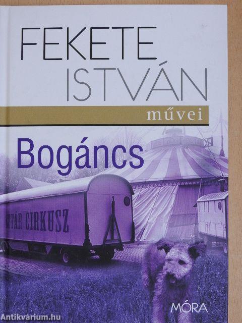 Bogáncs