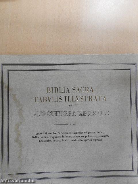 Biblia Sacra Tabulis Illustrata