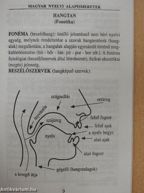 Magyar nyelvi alapismeretek