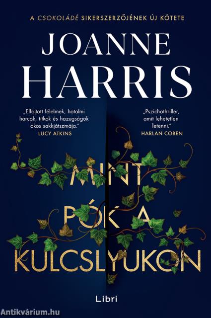 Mint pók a kulcslyukon