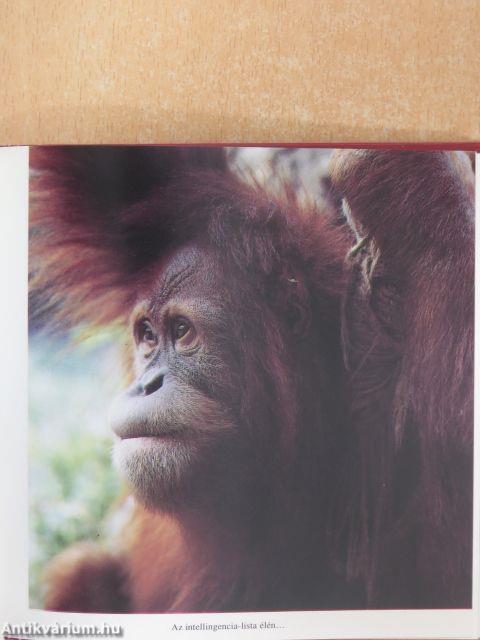 Ismeretlen ismerősök