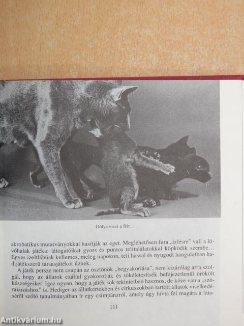 Ismeretlen ismerősök