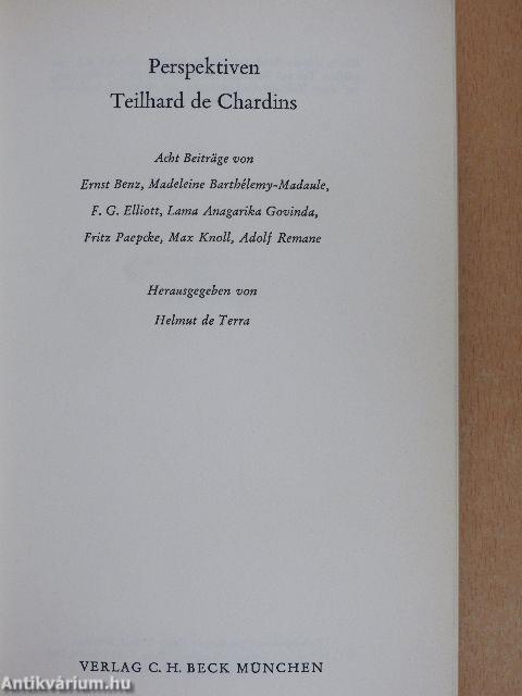 Perspektiven Teilhard de Chardins