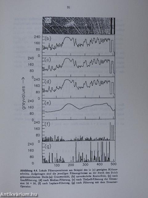 Automatische Auswertung von Teilchenspurbildern ultrarelativistischer Kern-Kern-Stösse