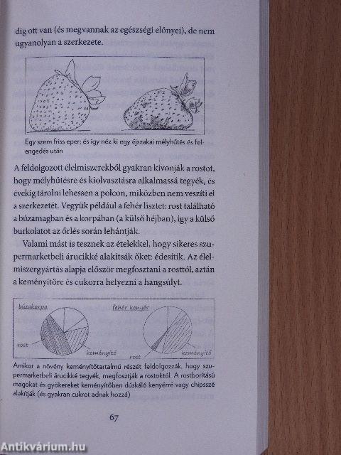 Glükóz forradalom