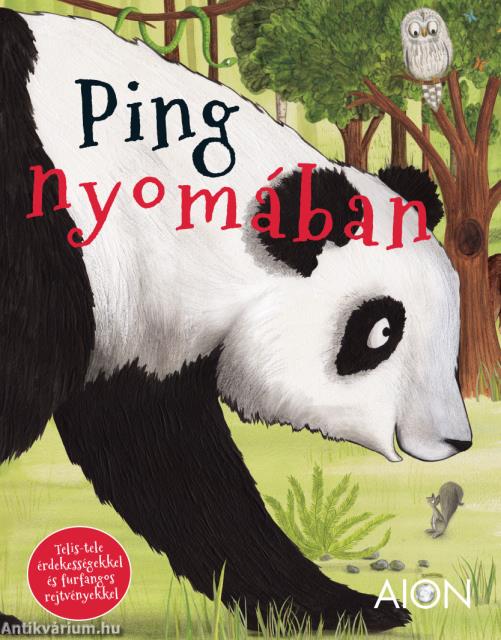 Ping nyomában