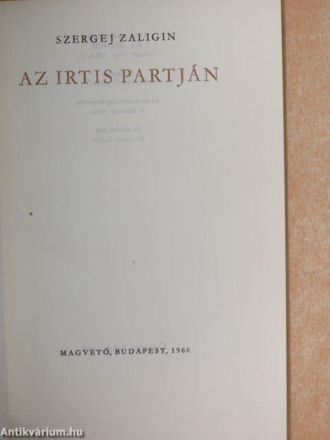 Az Irtis partján