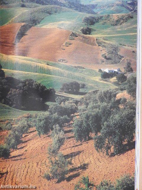 Ronda "Dreamed City" and the Serranía