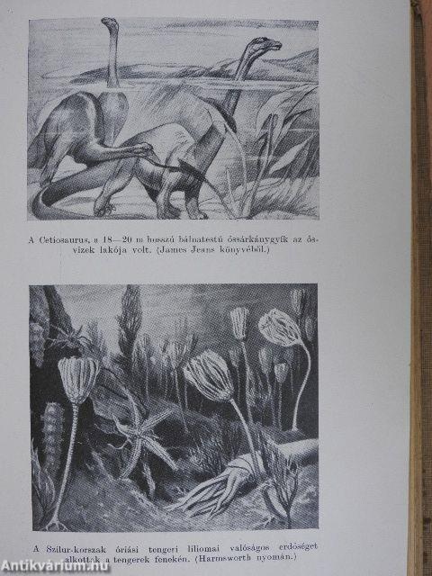 Az ősködtől az emberig