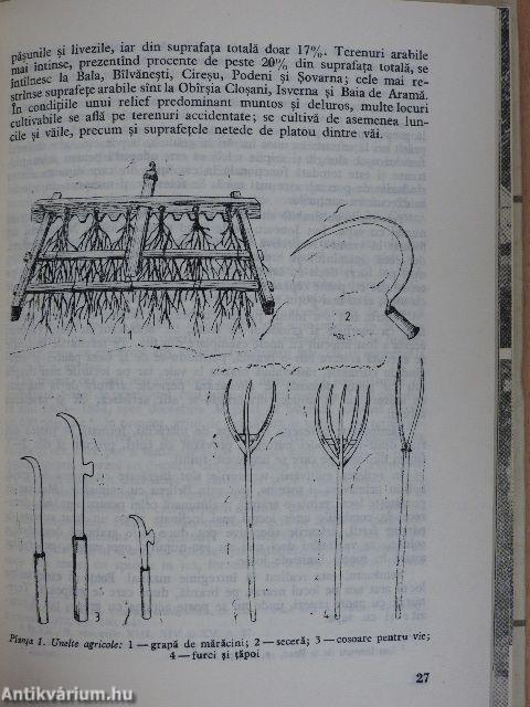 Zona Etnografica Plaiul Closanilor