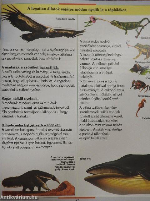 Az állatok élete