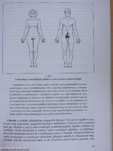 Felkészülés a családi életre