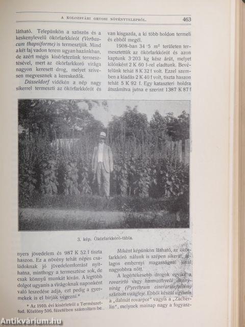 Természettudományi Közlöny 1911. január-december/Pótfüzetek a Természettudományi Közlönyhöz 1911. január-december