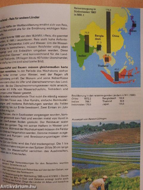 bsv Geographie 7/8