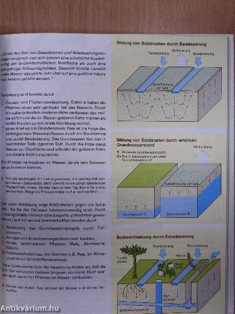 bsv Geographie 7/8