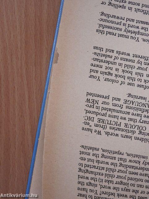 The New Colour-Picture Dictionary for Children