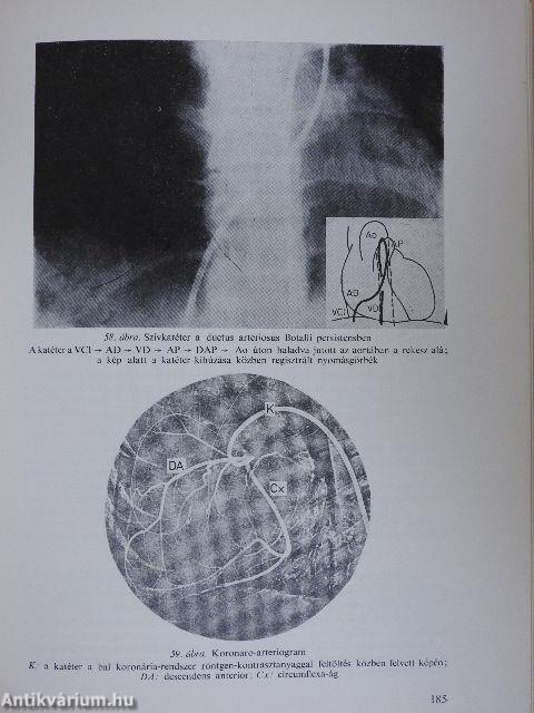 Belgyógyászati diagnosztika