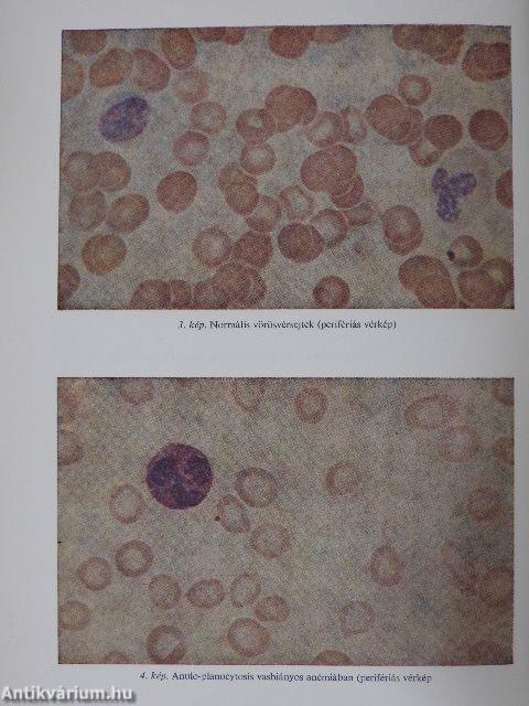 Belgyógyászati diagnosztika