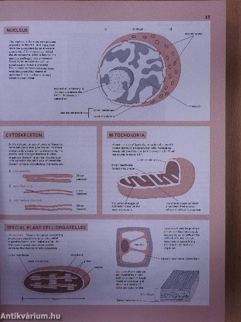 Molecular Biology of the Cell