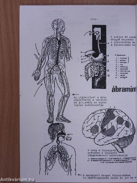 A drogmegelőzés pedagógiája