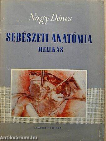 Sebészeti anatómia