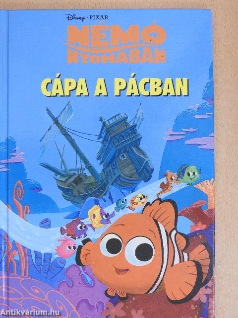 Némó nyomában - Cápa a pácban