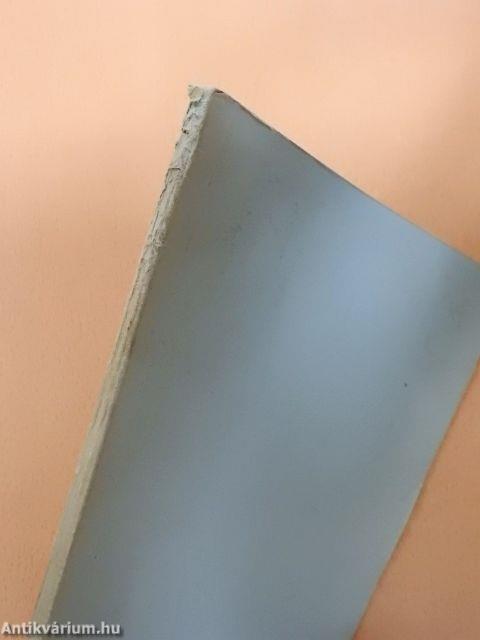 Vezetői konferencia 4.