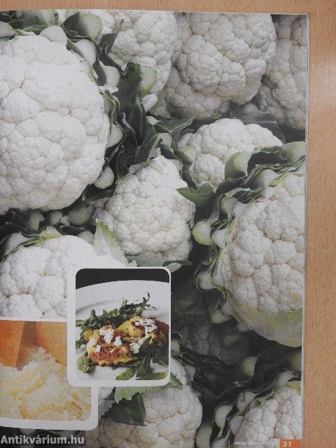 Delimano Ceramica Prima