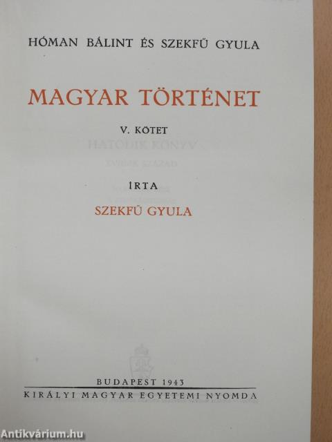 Magyar történet V.