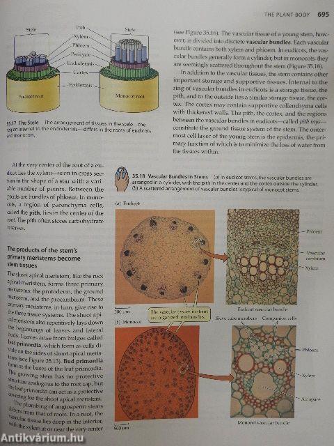 Life: The Science of Biology