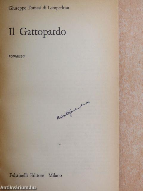 Il Gattopardo (Dr. Castiglione László könyvtárából)