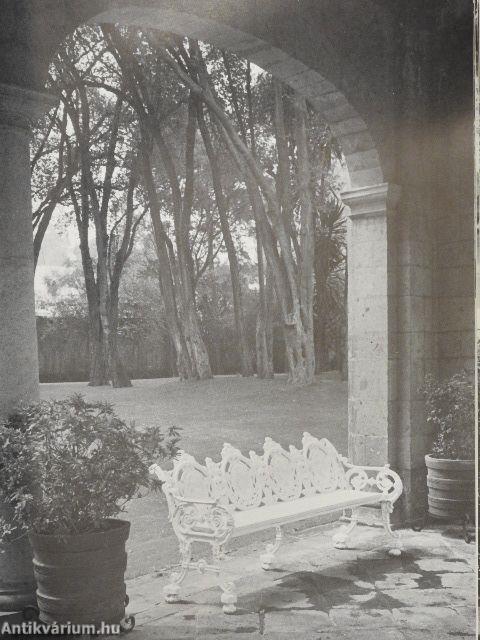 Patios and Gardens of Mexico