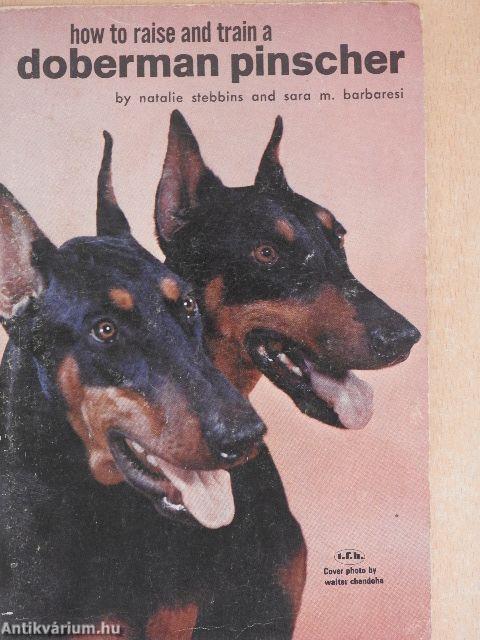 How to Raise and Train a Doberman Pinscher