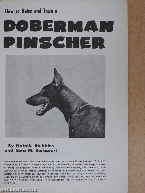 How to Raise and Train a Doberman Pinscher