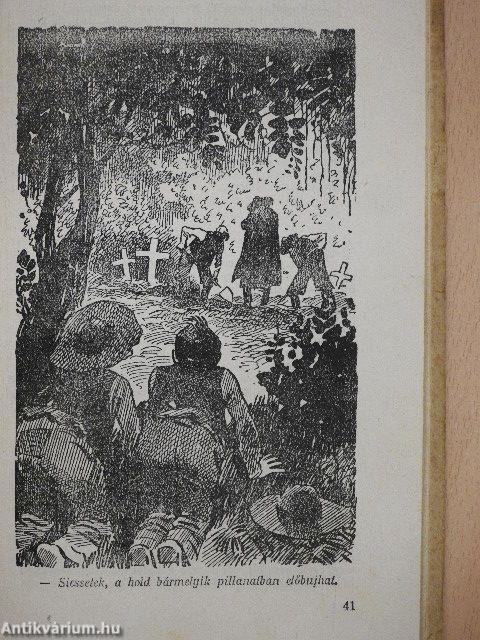 Tamás úrfi csinyjei és kalandjai