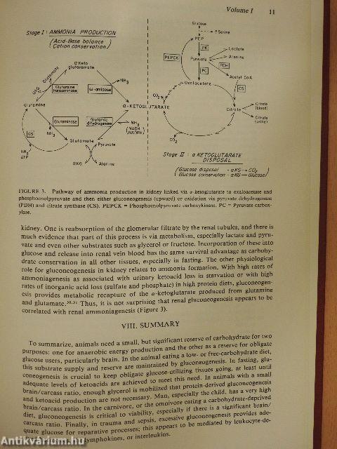 Hormonal Control of Gluconeogenesis I-III.