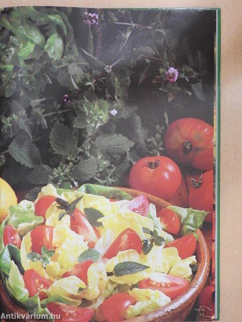 99 salads with 33 colour photographs