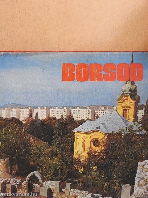 Borsod