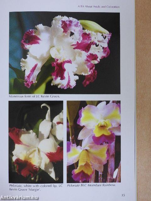 Orchids in Hawai'i