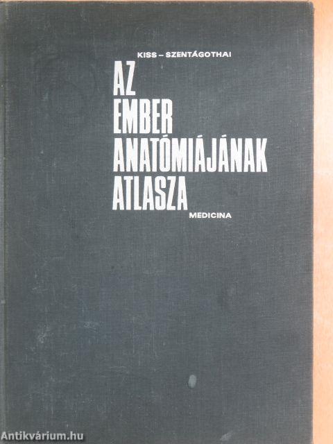 Az ember anatómiájának atlasza I. (töredék)