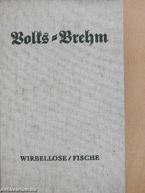 Volks-Brehm I-II. (gótbetűs)